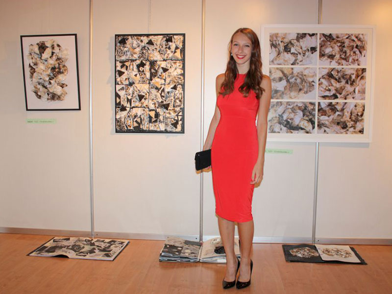 art-exhibition-2014-gallery-11
